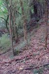 Snapshot: Wairarapa I Helping bees I Groundcovering weeds I Fencing tips Kakapo research I An interview with the new Chief Executive - QEII ...