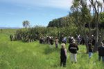 Snapshot: Wairarapa I Helping bees I Groundcovering weeds I Fencing tips Kakapo research I An interview with the new Chief Executive - QEII ...