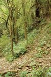 Snapshot: Wairarapa I Helping bees I Groundcovering weeds I Fencing tips Kakapo research I An interview with the new Chief Executive - QEII ...