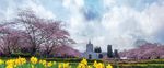 DRAFT - 2022-23 Audit Plan - Oregon Legislative Information System