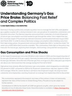 Understanding Germany's Gas Price Brake: Balancing Fast Relief and Complex Politics