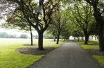 COMMUNITY AND SOCIAL INFRASTRUCTURE AUDIT