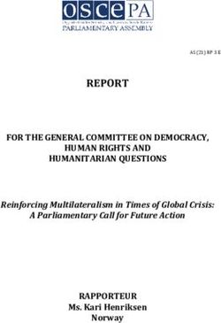 REPORT FOR THE GENERAL COMMITTEE ON DEMOCRACY, HUMAN RIGHTS AND HUMANITARIAN QUESTIONS - RAPPORTEUR - OSCE Parliamentary Assembly