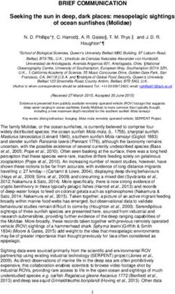 BRIEF COMMUNICATION Seeking the sun in deep, dark places: mesopelagic sightings of ocean sunfishes (Molidae) - NERC Open ...