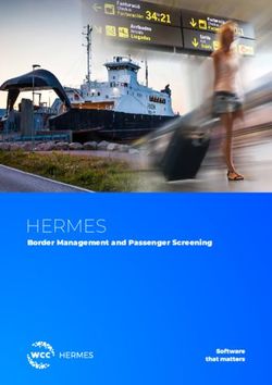 HERMES Border Management and Passenger Screening - WCC Group