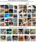 BREEDS: BENCHMARKS FOR SUBPOPULATION SHIFT - OpenReview