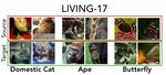 BREEDS: BENCHMARKS FOR SUBPOPULATION SHIFT - OpenReview