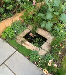 MKA Reach, Cambridgeshire - A Biodiversity Assessment to support the Neighbourhood Plan - reach village