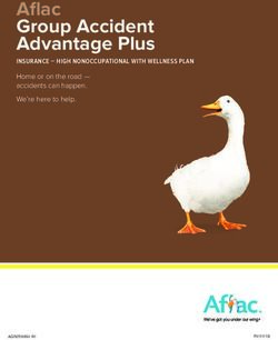 Aflac Group Accident Advantage Plus - INSURANCE - HIGH NONOCCUPATIONAL WITH WELLNESS PLAN
