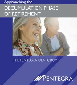 DECUMULATION PHASE OF RETIREMENT - Approaching the - THE PENTEGRA IDEA FORUM