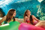GUEST SAFETY & ACCESSIBILITY GUIDE - Aquatica