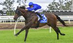 2021 Gold Coast Summer Racehorse Sale - January 18th - Published on 15th January 2021 - Bitly