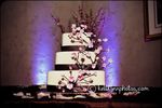 2013 WEDDING INFORMATION & POLICIES - TERRA BLANCA WINERY & ESTATE VINEYARD 34715 N DEMOSS ROAD BENTON CITY, WA 99320 WWW.TERRABLANCA.COM
