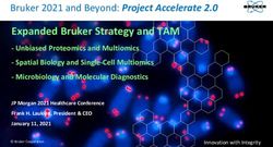 Expanded Bruker Strategy and TAM - Bruker 2021 and Beyond: Project Accelerate 2.0