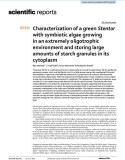 Characterization of a green Stentor with symbiotic algae growing in an extremely oligotrophic environment and storing large amounts of starch ...