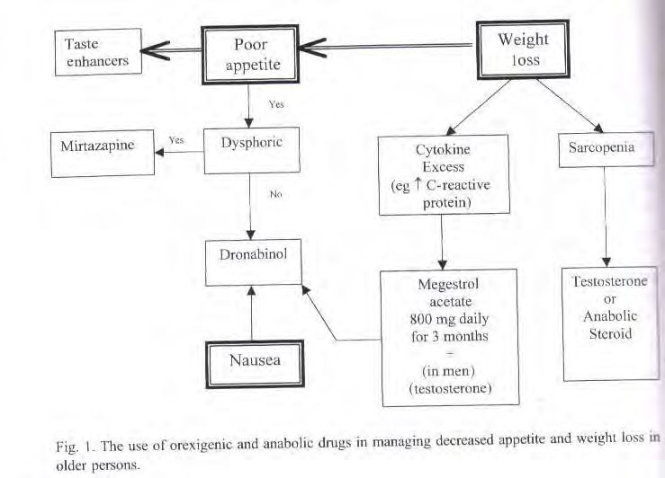 Pathophysiology of weight loss in older persons