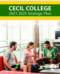 CECIL COLLEGE 2021-2025 Strategic Plan