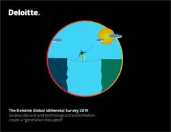 The Deloitte Global Millennial Survey 2019 - Societal discord and technological transformation create a "generation disrupted"