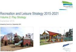 Recreation and Leisure Strategy 2015-2021 - Volume 2: Play Strategy September 2015