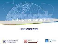 HORIZON 2020 - Enterprise Europe Network 26 febbraio 2014 - Comune di Venezia.