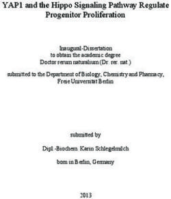 YAP1 and the Hippo Signaling Pathway Regulate Progenitor Proliferation