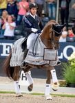 DER HANNOVERANER Auction - Magic number