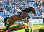 DER HANNOVERANER Auction - Magic number