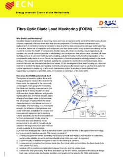 Fibre Optic Blade Load Monitoring (FOBM) - FBGs