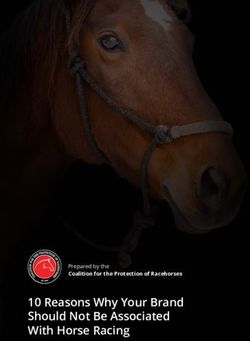 10 Reasons Why Your Brand Should Not Be Associated With Horse Racing - Prepared by the Coalition for the Protection of Racehorses - Horse Racing Kills
