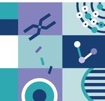 Post-doctoral Launching Fellowships 2023 Call for applications