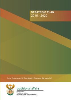 STRATEGIC PLAN 2015 2020 - TRADITIONAL AFFAIRS - COGTA