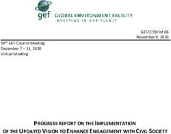 OF THE UPDATED VISION TO ENHANCE ENGAGEMENT WITH CIVIL SOCIETY - PROGRESS REPORT ON THE IMPLEMENTATION - Global Environment Facility