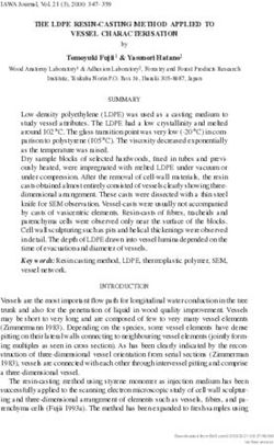 THE LDPE RESIN-CASTING METHOD APPLIED TO VESSEL CHARACTERISATION - Brill
