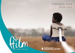 STRATEGIC PLAN - Ffilm Cymru Wales