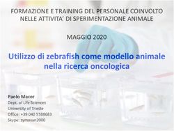 Utilizzo di zebrafish come modello animale nella ricerca oncologica