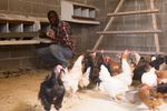 Prospectus 2021 - Buhle Farmers' Academy