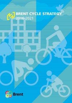 BRENT CYCLE STRATEGY 2016-2021 - Brent Council