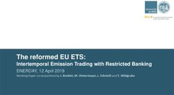 The reformed EU ETS: Intertemporal Emission Trading with Restricted Banking - ENERDAY, 12 April 2019 - TU Dresden