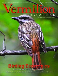 Vermilion - Tucson Audubon Society
