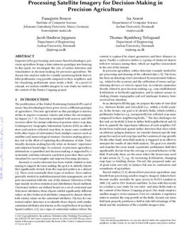 Processing Satellite Imagery for Decision-Making in Precision Agriculture