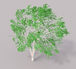 Direct Position-Based Solver for Stiff Rods - Visual Computing Institute