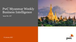 PWC MYANMAR WEEKLY BUSINESS INTELLIGENCE - ISSUE NO. 247 - 10 JANUARY 2021
