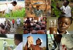 RACA 2017 - Human Development Education Science, Technology and Innovation Youth - AU Education