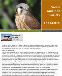 Salem Audubon Society The Kestrel