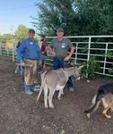 No Foot, No Horse - November 8-12, 2021 Arlington, Texas