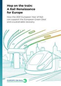 Hop on the train: A Rail Renaissance for Europe - How the 2021 European Year of Rail can support the European Green Deal and a sustainable recovery