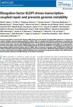 Elongation factor ELOF1 drives transcription-coupled repair and prevents genome instability - Wim Vermeulen ...
