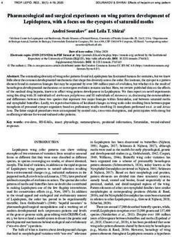 Pharmacological and surgical experiments on wing pattern development of Lepidoptera, with a focus on the eyespots of saturniid moths