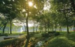 SUSTAINABILITY REPORT - For Investors