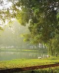 SUSTAINABILITY REPORT - For Investors